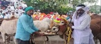 Bulls Adorned and Celebrated on Polala Amavasya in Adilabad, Telangana